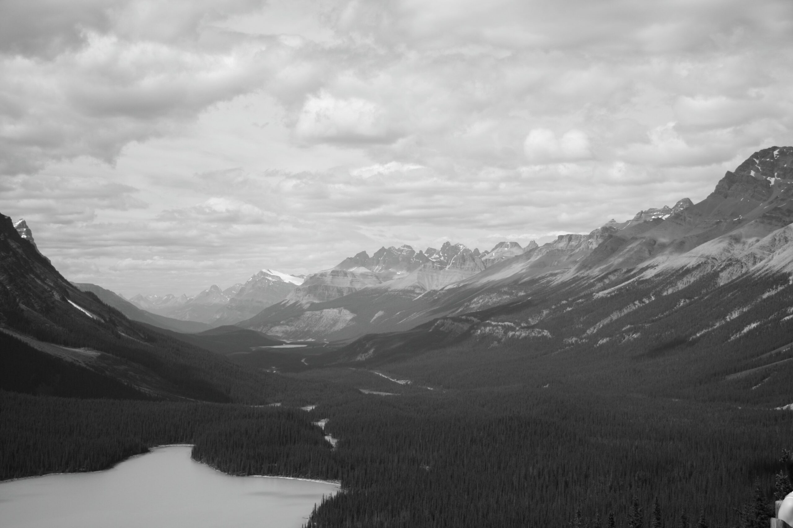 b&w peyto lake banff national park alberta canada 14